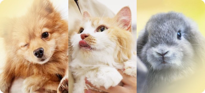 ペットビジネス学科のイメージ