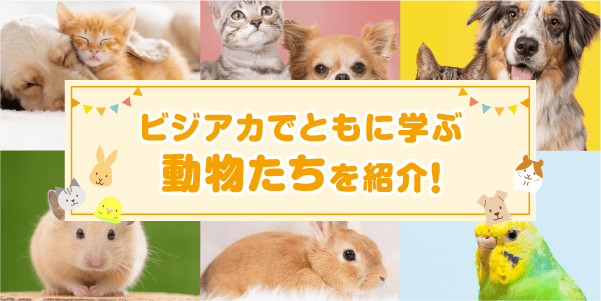 ビジアカでともに学ぶ動物たち