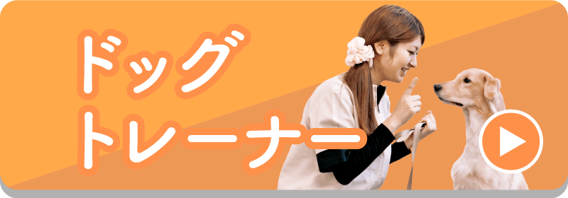 ドッグトレーナー