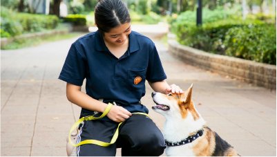 ドッグトレーナー専攻