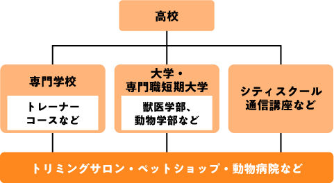 トリマーになるためのフローチャート