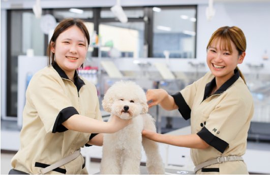 マルチカリキュラムで幅広い知識を身に着ける!